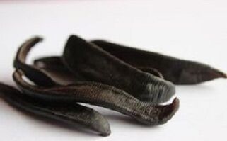 Dried leeches for ointment
