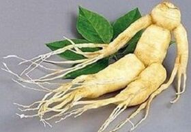 Root Ginseng for infusion